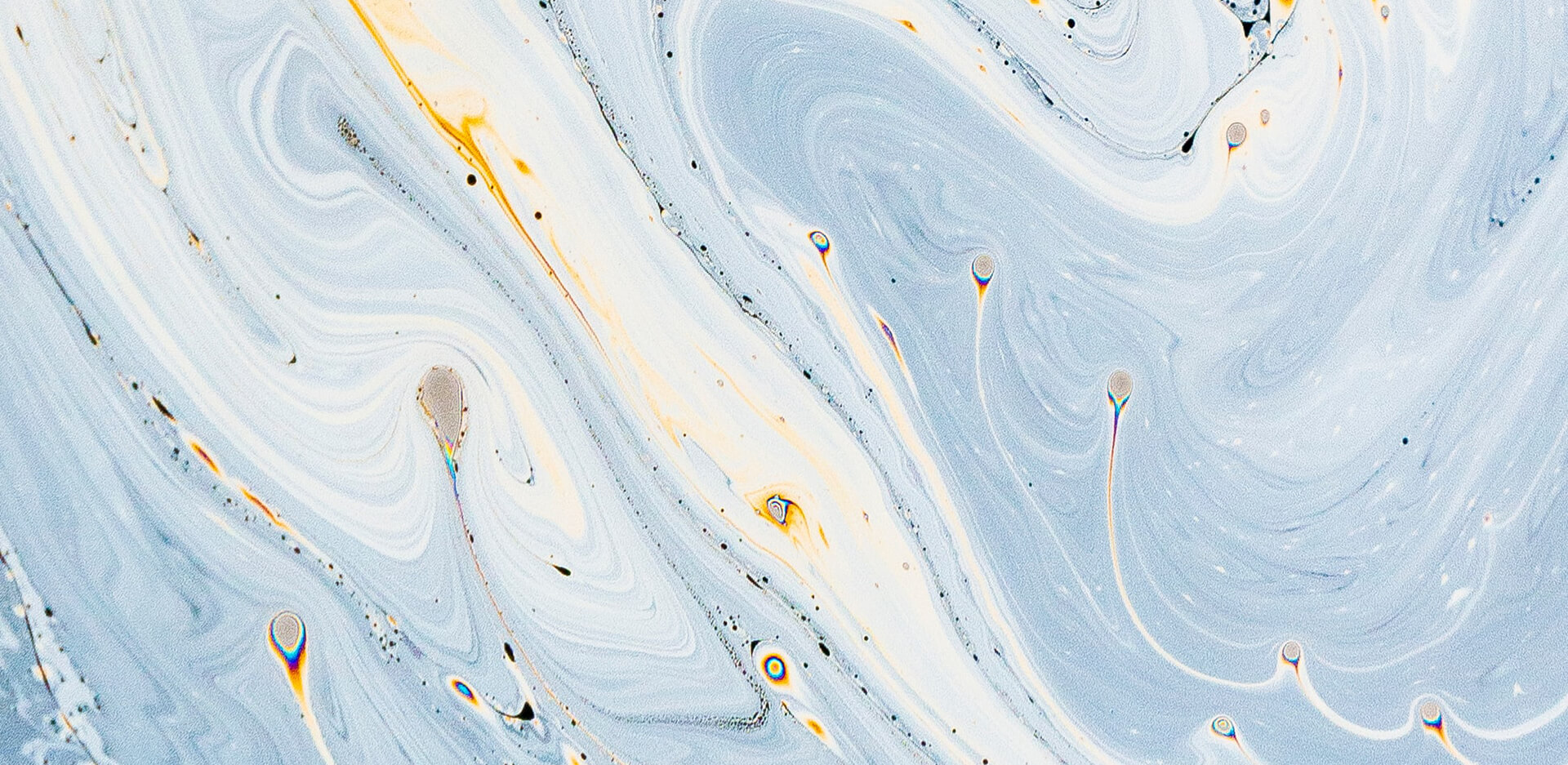 Sala de aula com alunos aprendendo web design